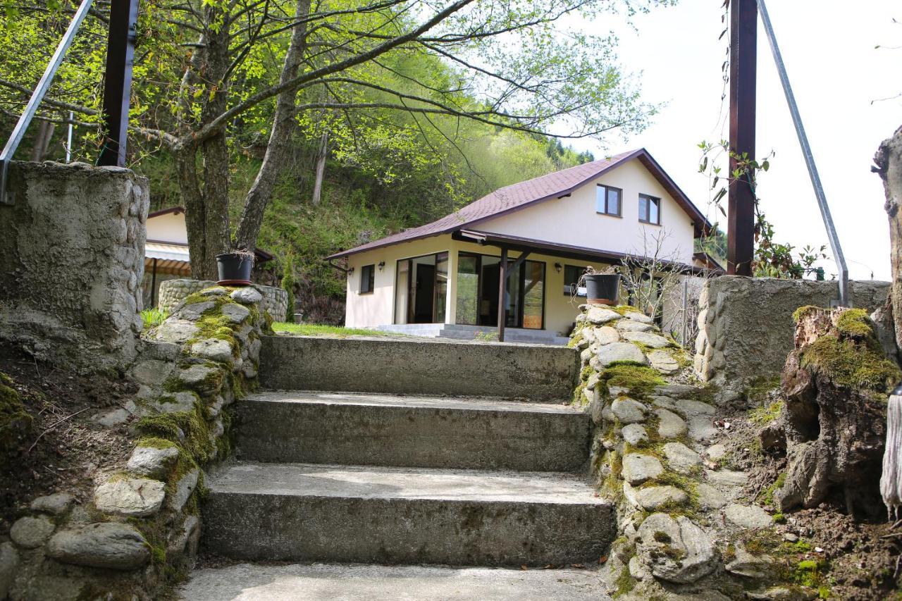 Pensiunea Tudor Breaza Extérieur photo